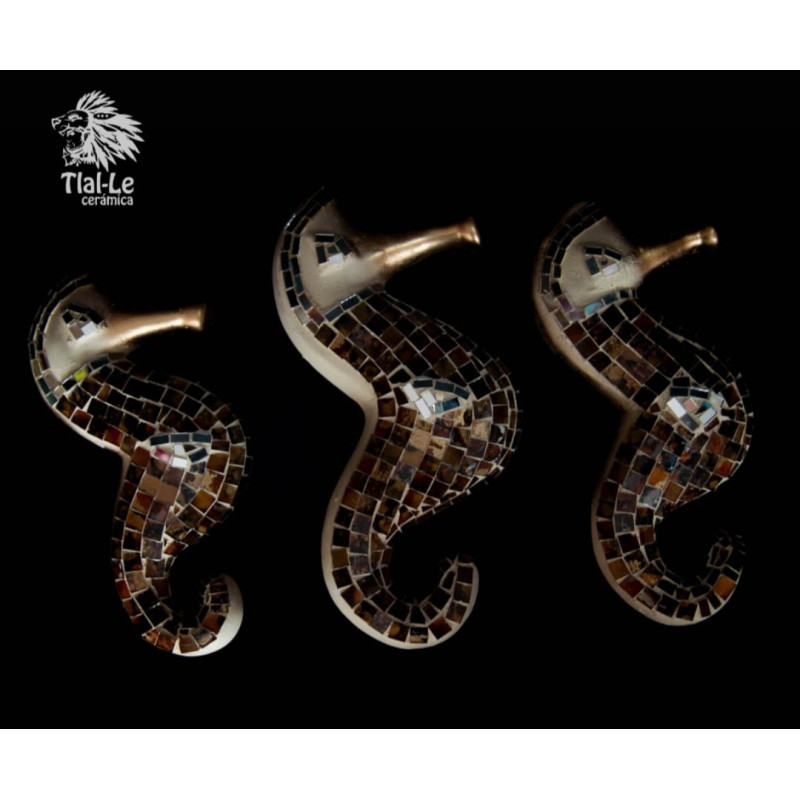 Jgo. de Caballitos de Mar