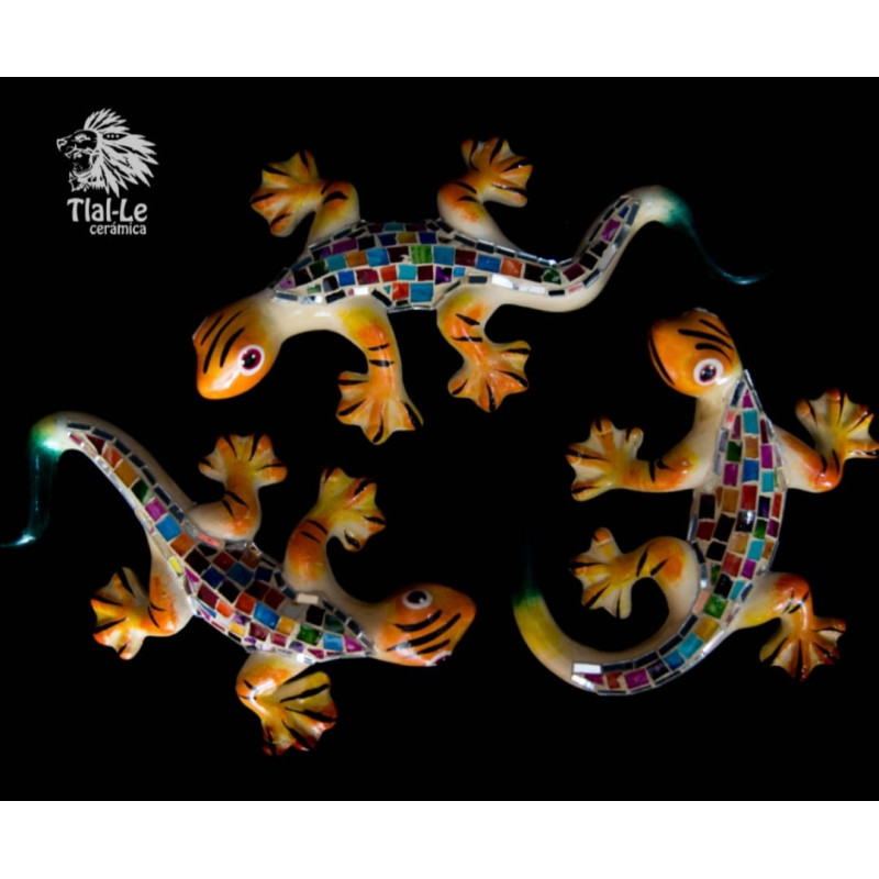 Jgo. de Salamandra Tlal-le